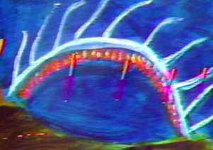 Sun Valley Neon Rainbow 2